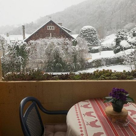 Appartement Vue Montagne Avec Wifi Saint-Lary-Soulan Zewnętrze zdjęcie