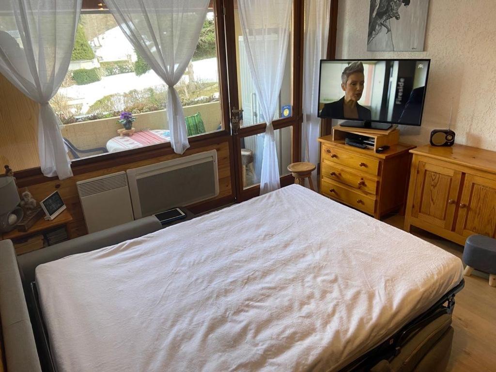 Appartement Vue Montagne Avec Wifi Saint-Lary-Soulan Zewnętrze zdjęcie