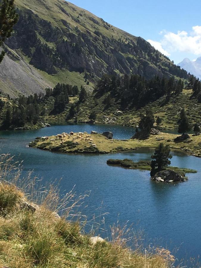 Appartement Vue Montagne Avec Wifi Saint-Lary-Soulan Zewnętrze zdjęcie